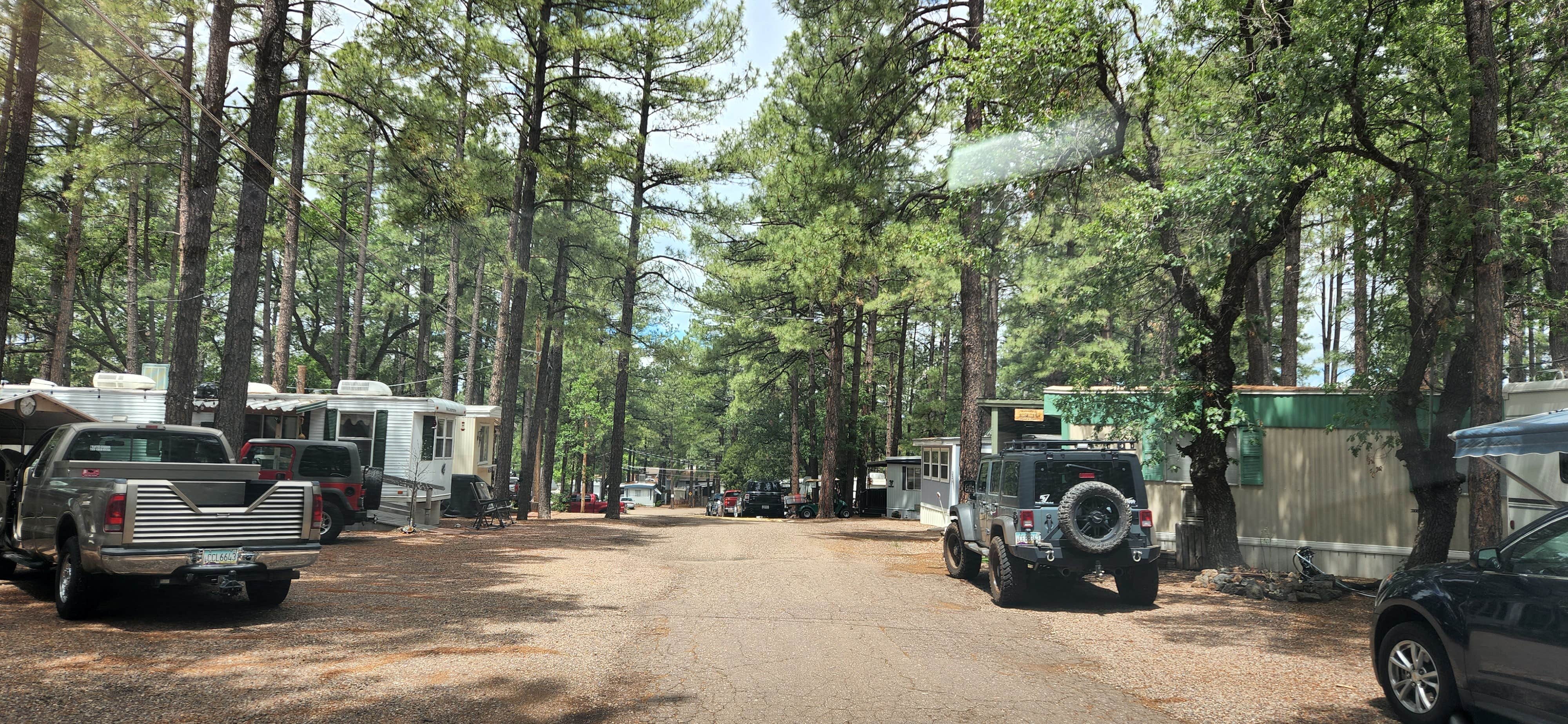 Camper-submitted photo at Ponderosa RV Resort near McNary, AZ