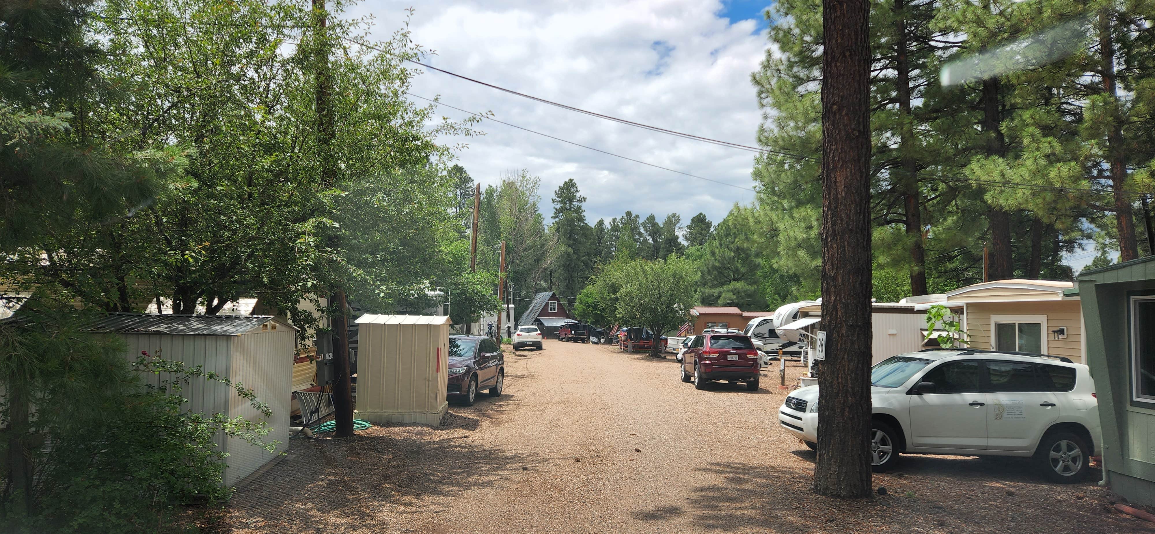 Camper-submitted photo at Ponderosa RV Resort near McNary, AZ