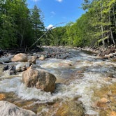 Review photo of Dry River — Crawford Notch State Park by Nathan S., August 1, 2022