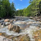 Review photo of Dry River — Crawford Notch State Park by Nathan S., August 1, 2022