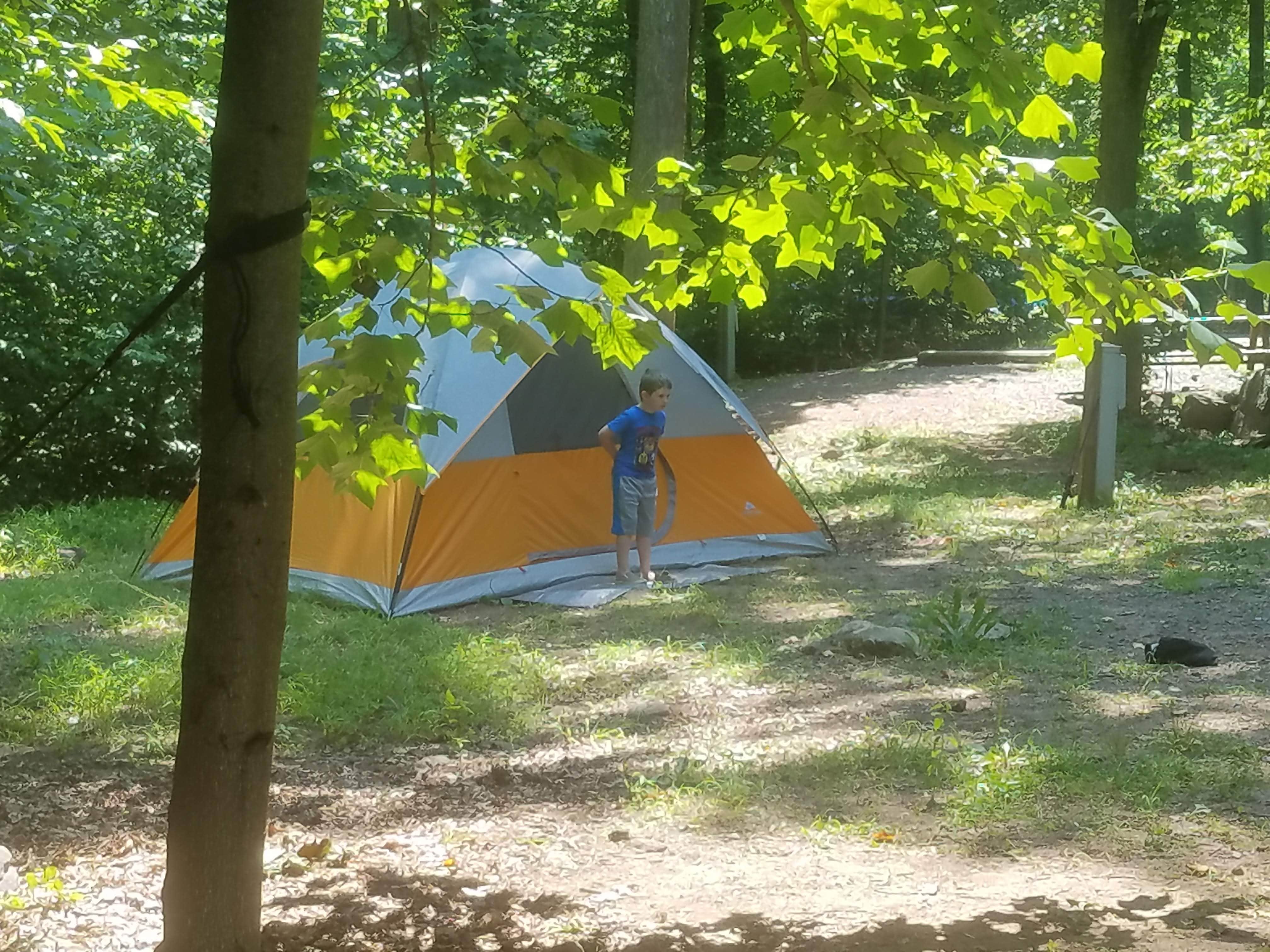 Jen R.'s photo at French Creek State Park Campground near Birdsboro, PA