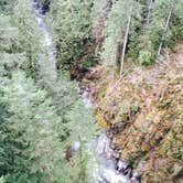 Review photo of Hoh Campground — Olympic National Park by Carla S., July 27, 2016