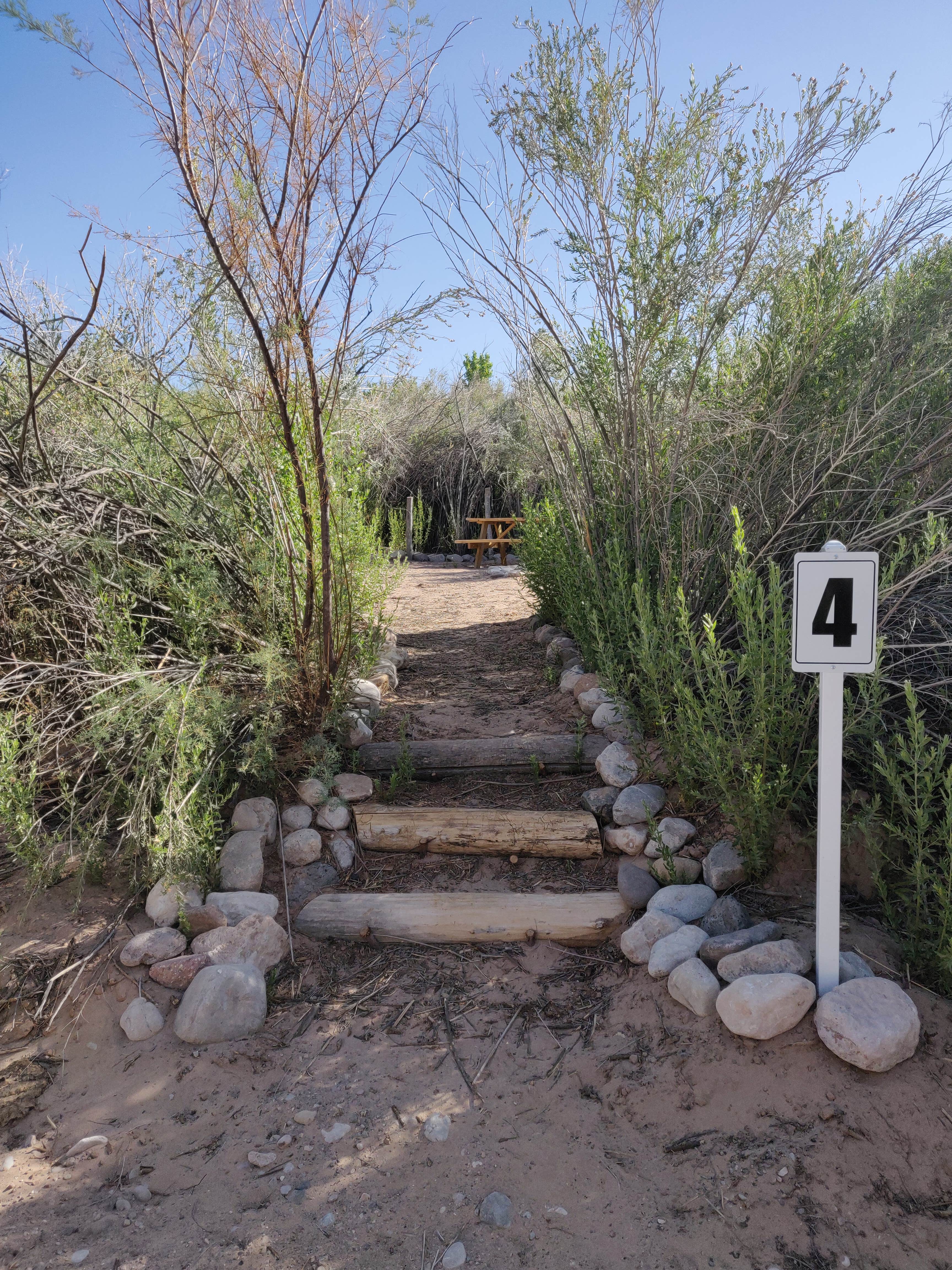 Camper-submitted photo at Virgin River Campgrounds near Mesquite, NV