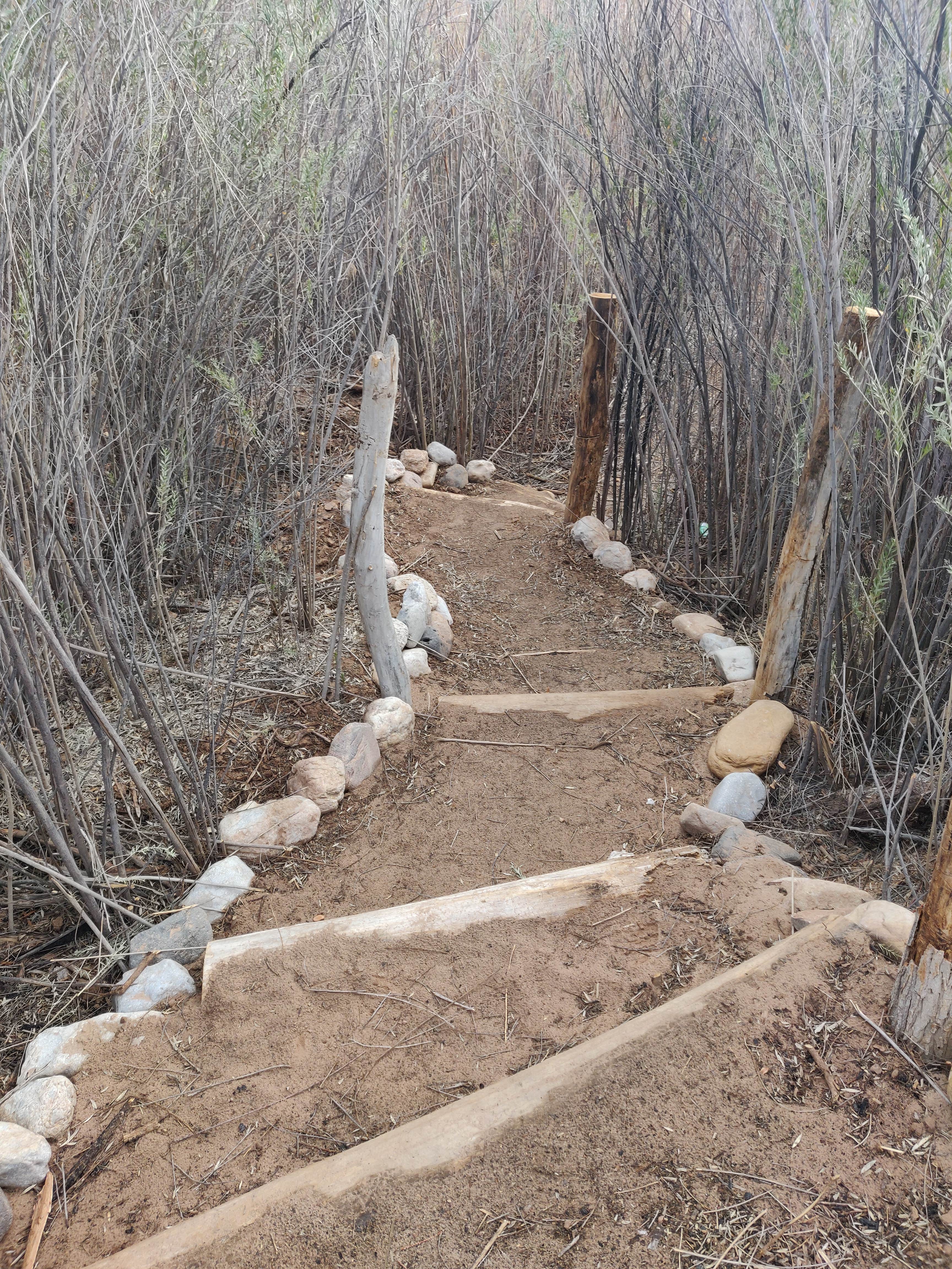 Camper-submitted photo at Virgin River Campgrounds near Mesquite, NV