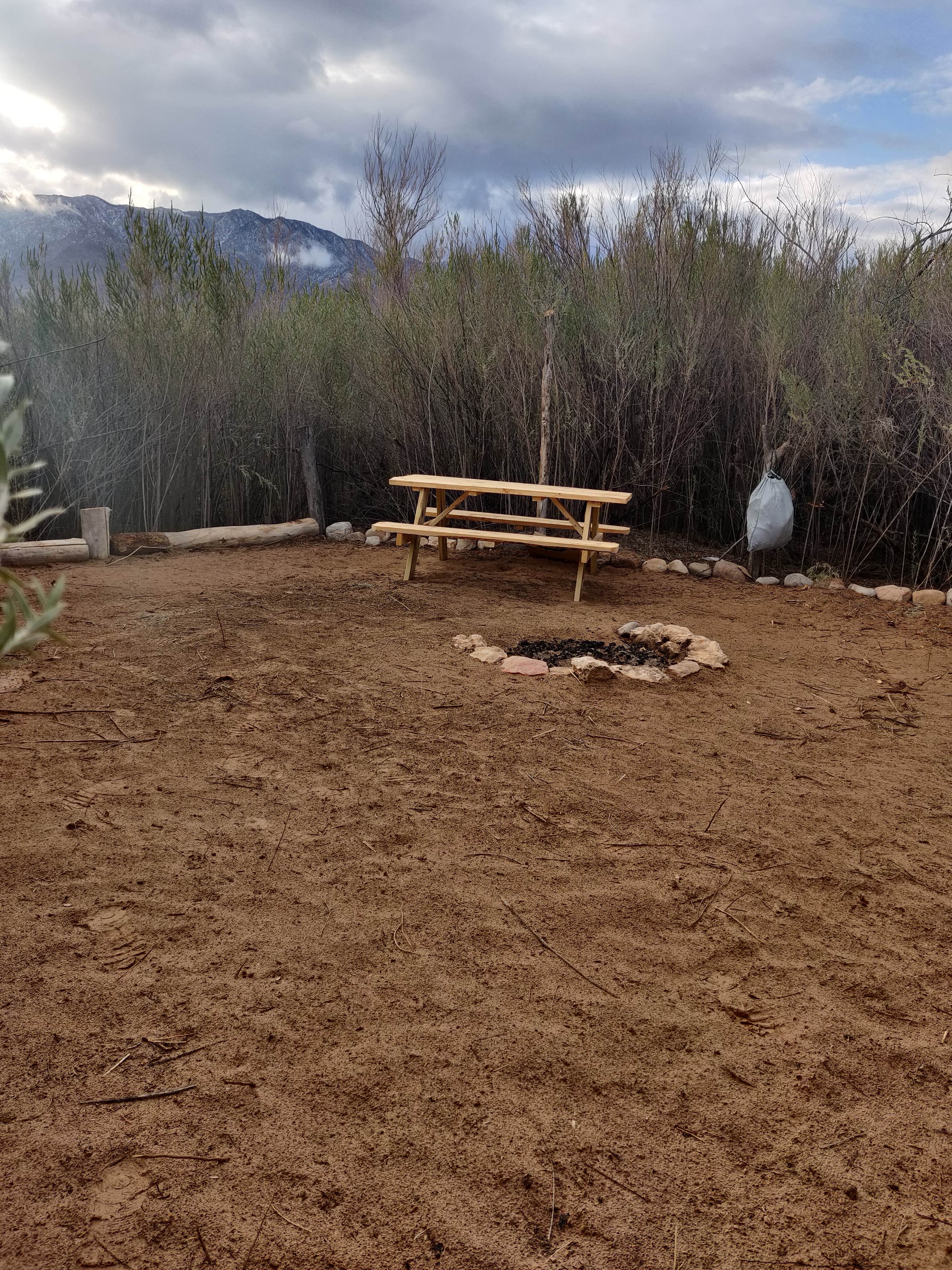 Camper-submitted photo at Virgin River Campgrounds near Mesquite, NV