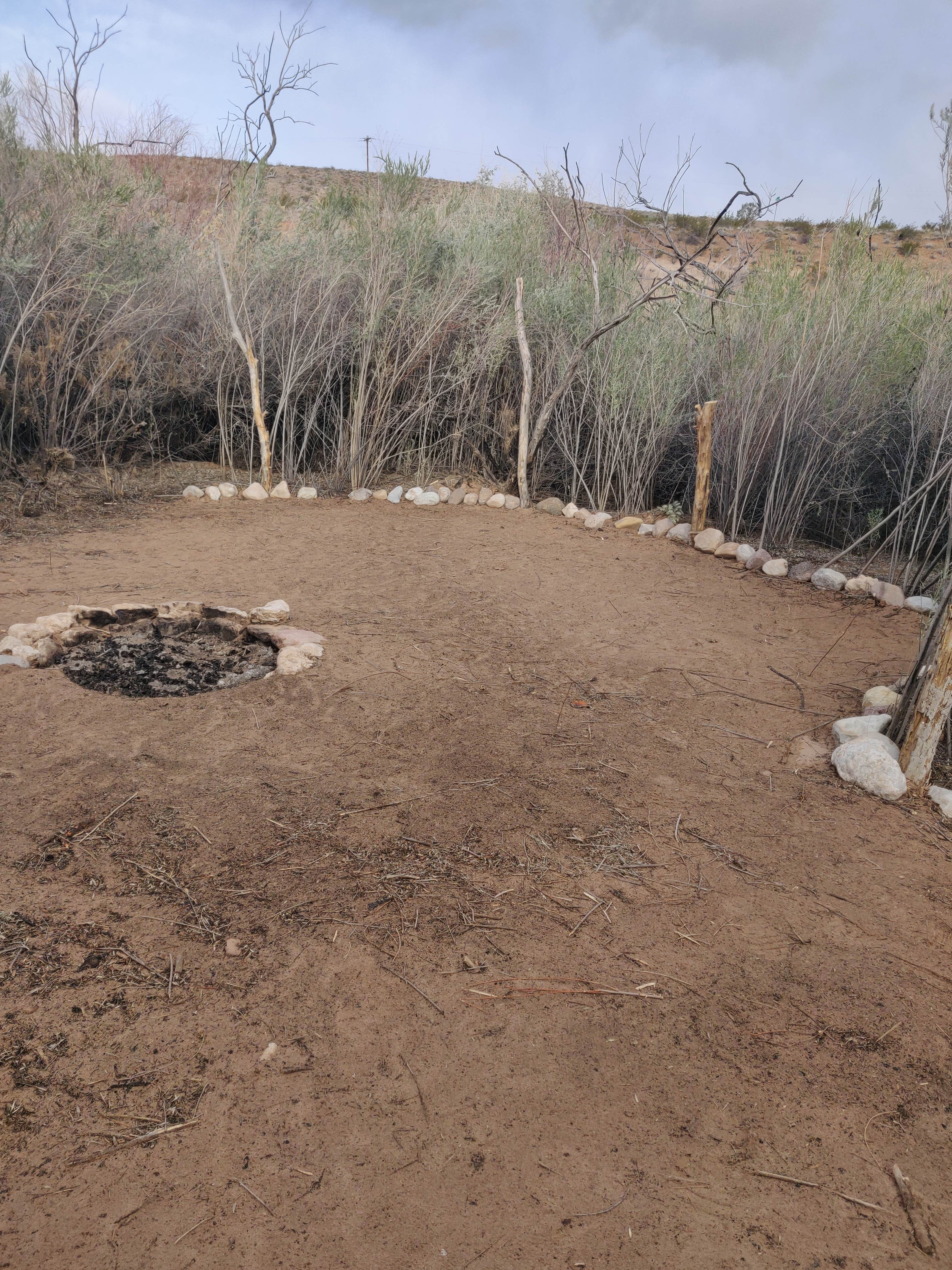Camper-submitted photo at Virgin River Campgrounds near Mesquite, NV