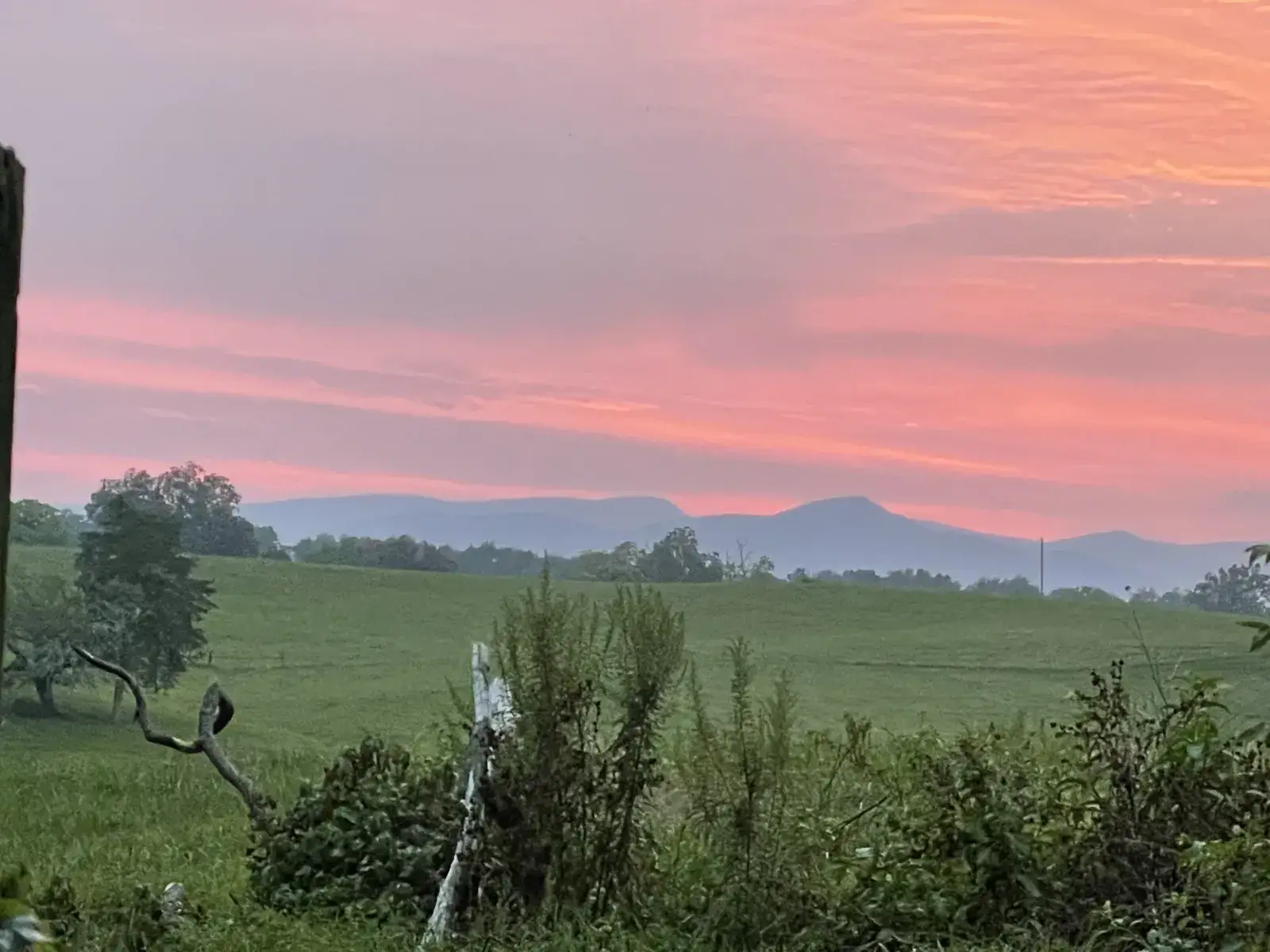 Camper-submitted photo at The HarmStead Campground near Flint Hill, VA