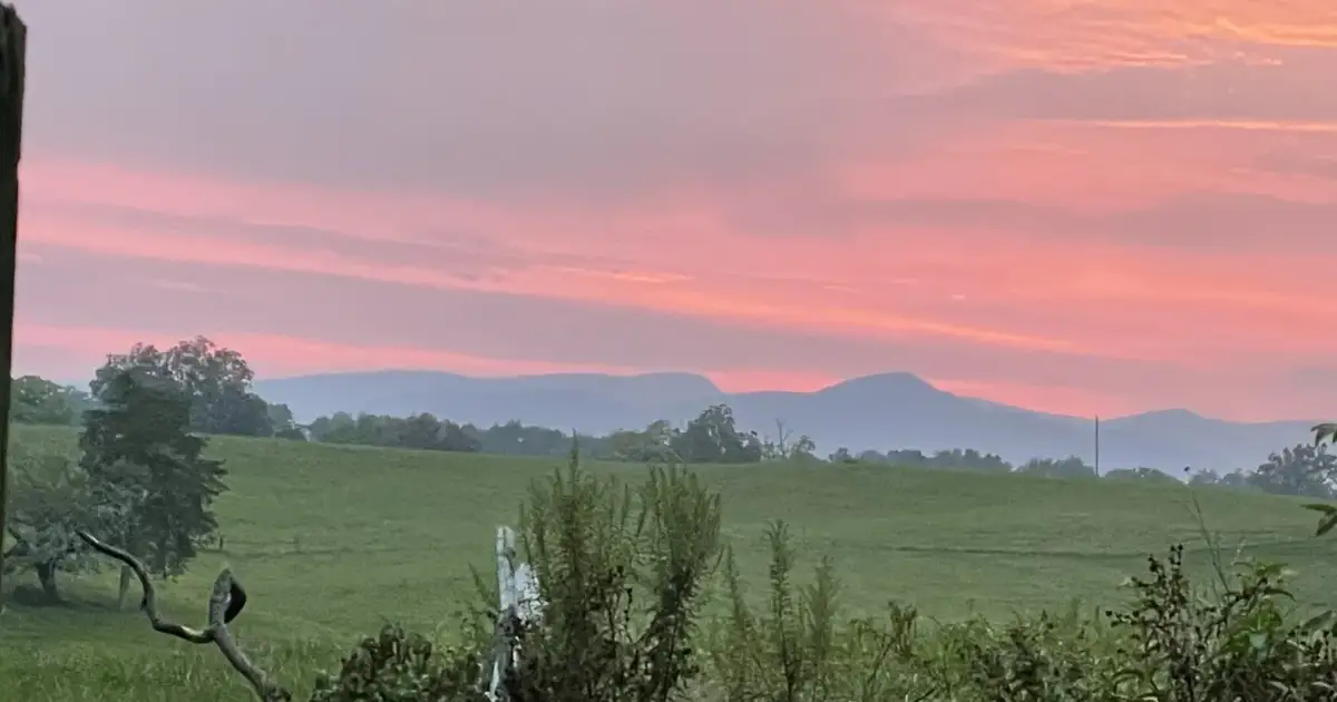 Barboursville photo 4