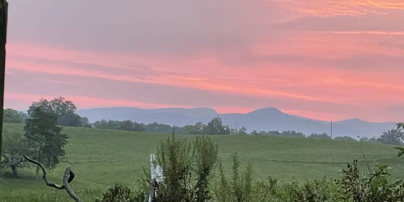 Camper submitted image from The HarmStead Campground