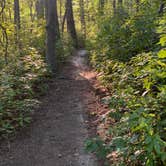 Review photo of Blydenburgh County Park by Christopher S., August 1, 2022