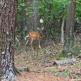 Review photo of Blydenburgh County Park by Christopher S., August 1, 2022