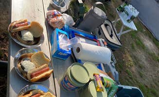 Christopher S.'s photo of camping with pets at Blydenburgh County Park near New York City, NY