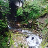 Review photo of Hoh Campground — Olympic National Park by Carla S., July 27, 2016