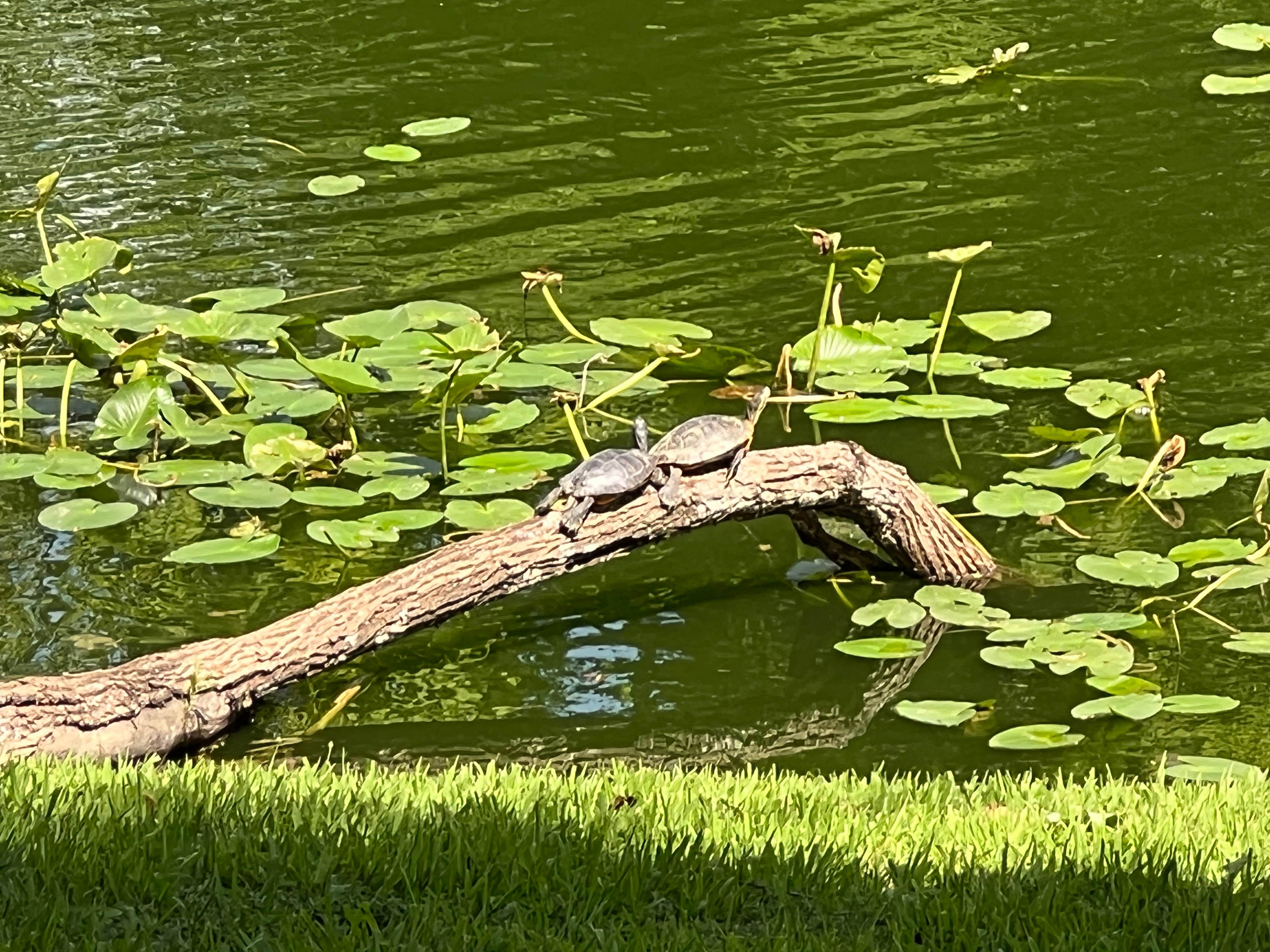 Camper-submitted photo at Berkshire Campgrounds near New Albany, OH