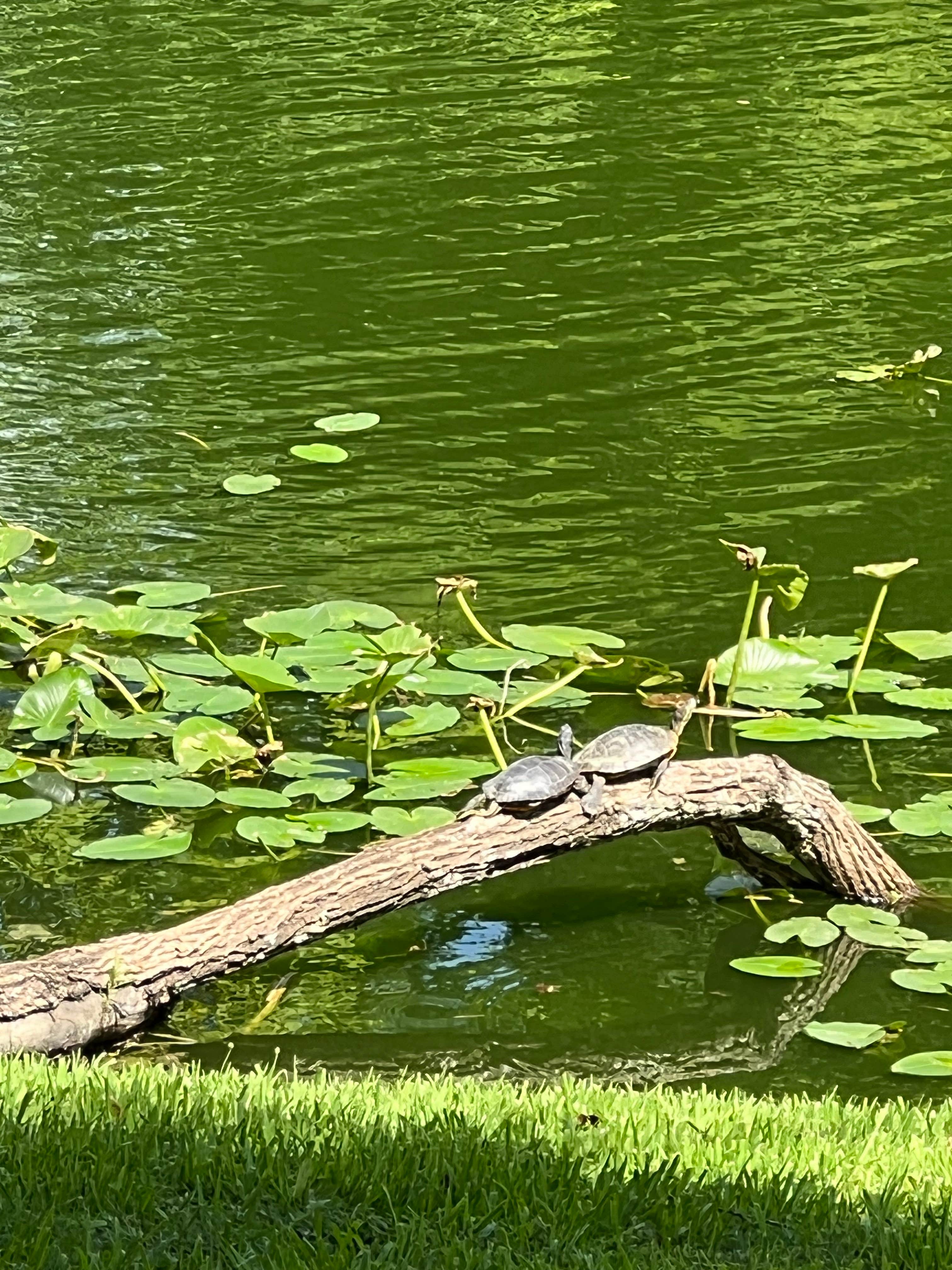 Camper-submitted photo at Berkshire Campgrounds near New Albany, OH