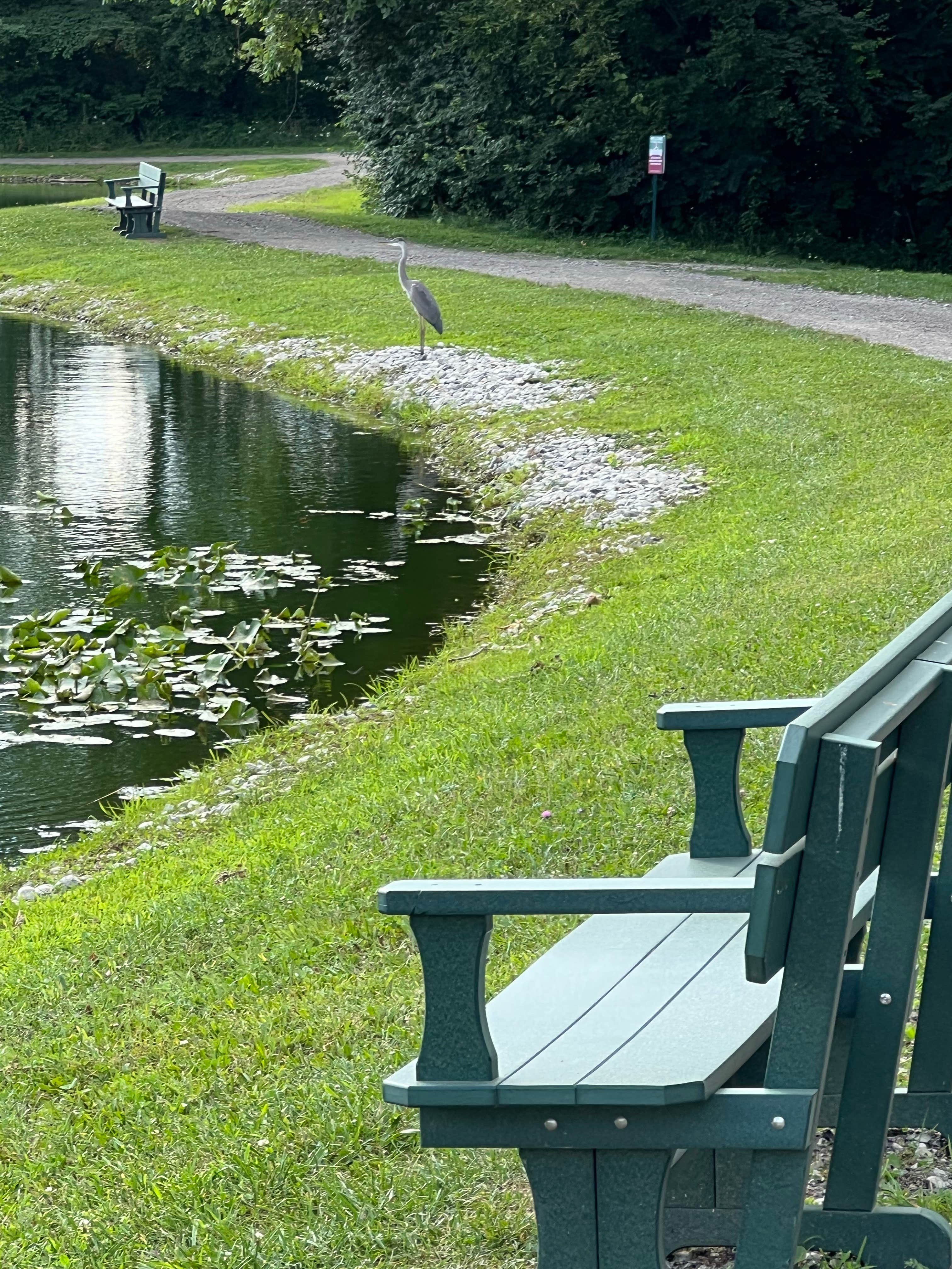 Camper-submitted photo at Berkshire Campgrounds near New Albany, OH