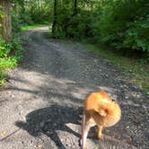 Review photo of Berkshire Campgrounds by James C., August 1, 2022