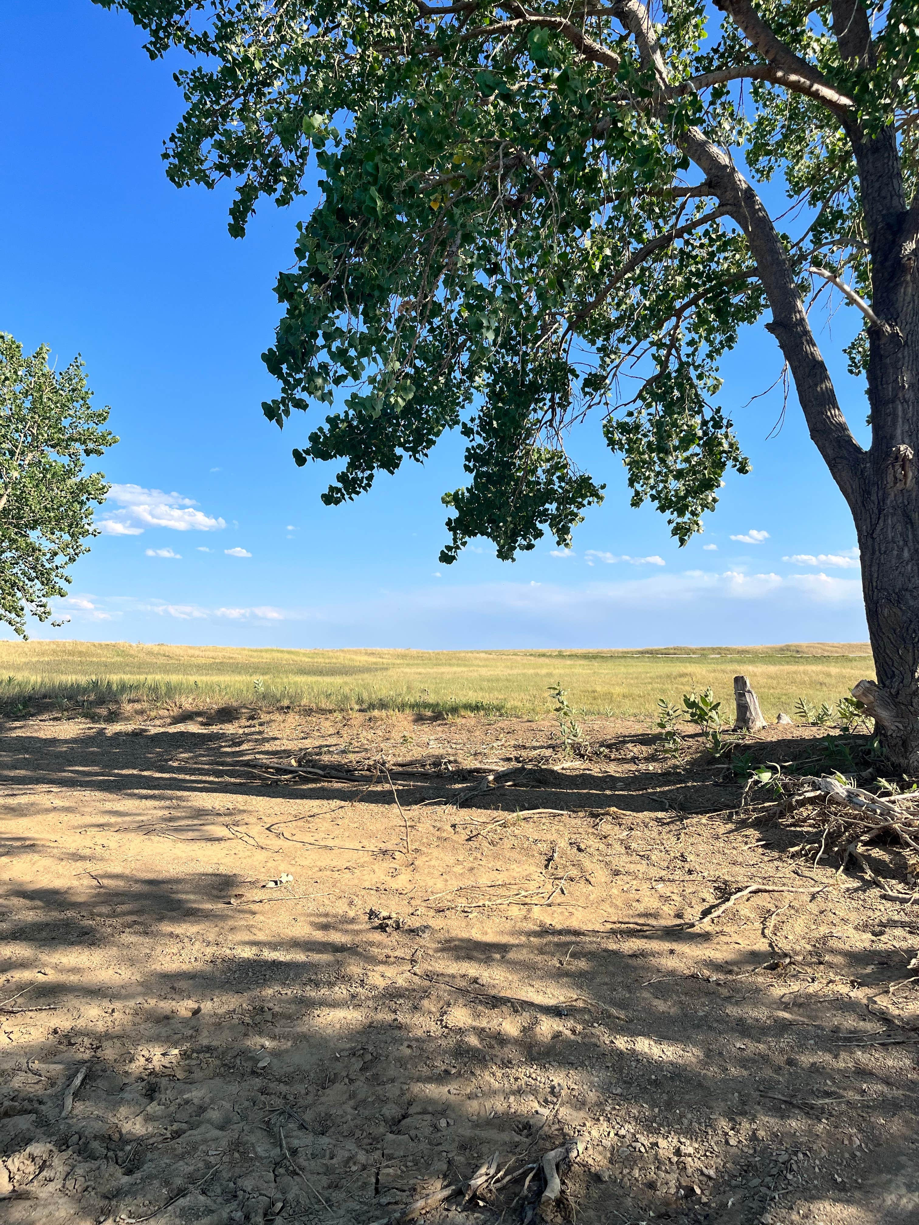 Camper submitted image from Belle Fourche Reservoir Dispersed Camping - 2