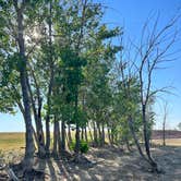 Review photo of Belle Fourche Reservoir Dispersed Camping by Bradee A., August 1, 2022