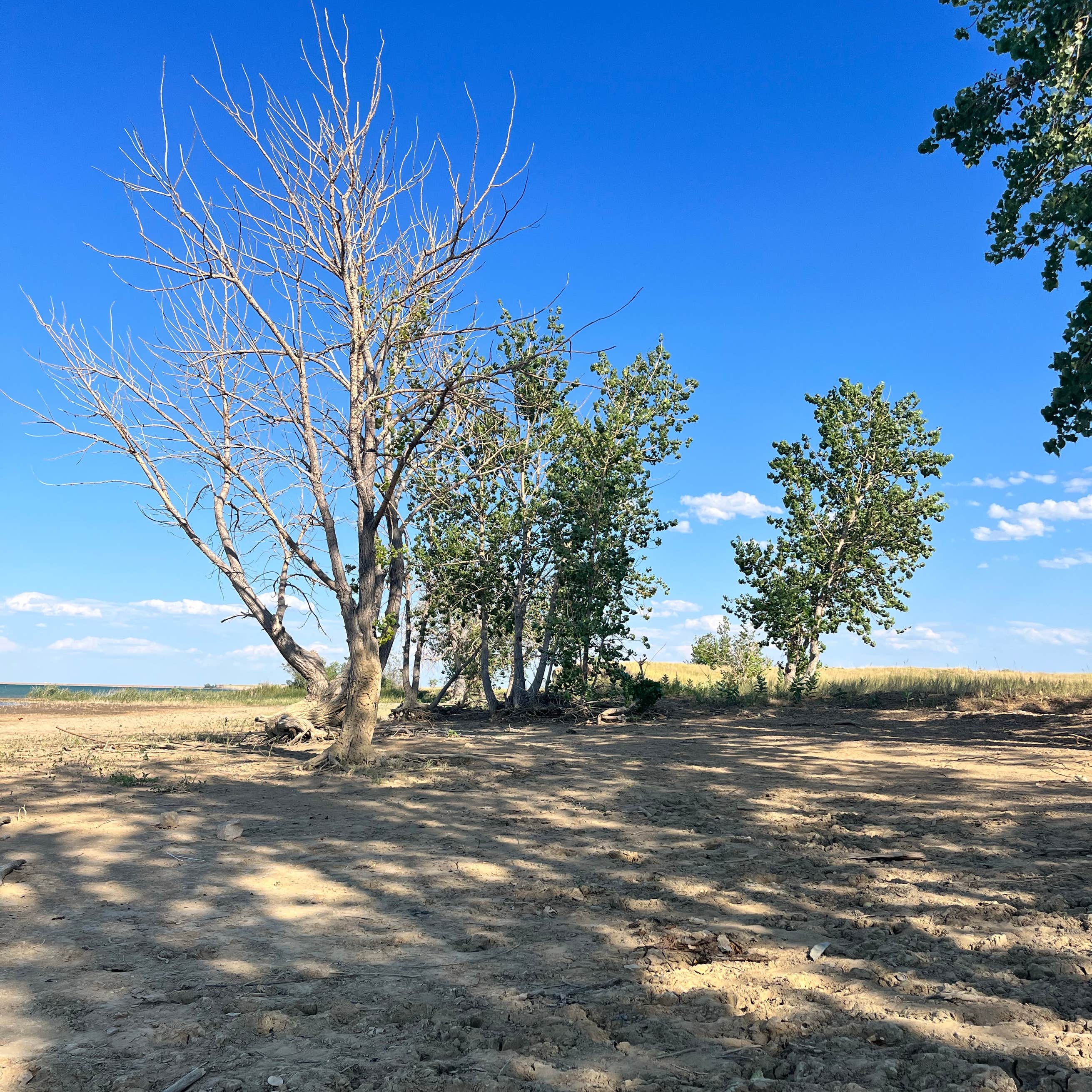 Belle Fourche Reservoir Dispersed Camping Camping Fruitdale, SD The