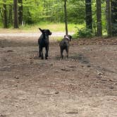 Review photo of Rogers Rock Campground by Andrzej K., August 2, 2022