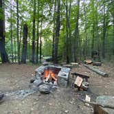 Review photo of Rogers Rock Campground by Andrzej K., August 2, 2022