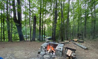Camping near Putnam Pond Adirondack Preserve: Rogers Rock Campground, Hague, New York