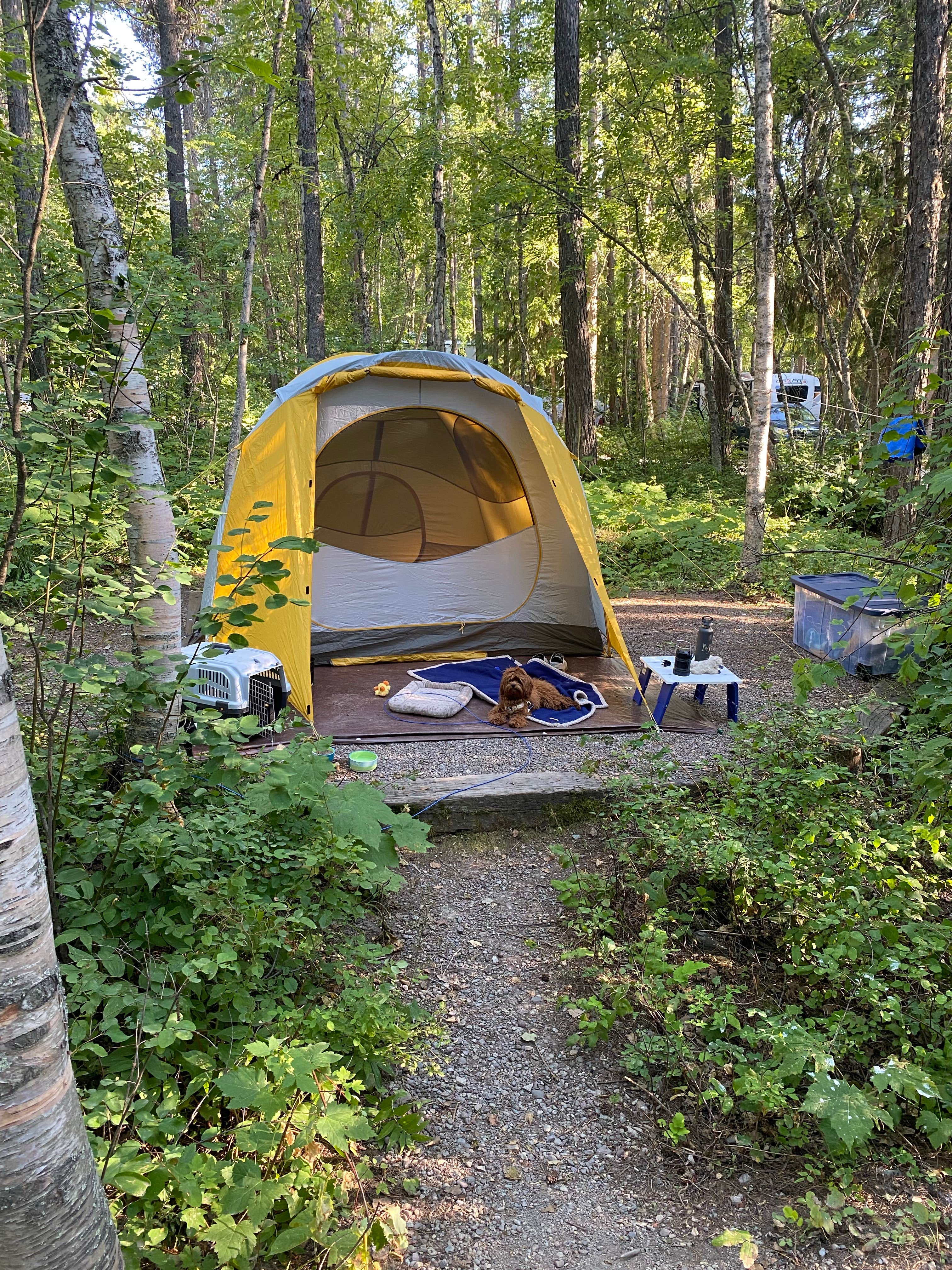 Rachel B.'s photo at Glacier Campground near West Glacier, MT