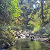 Review photo of Dispersed Camping NF 2918 — Olympic National Park by Andi F., August 1, 2022