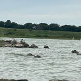 Review photo of COE Milford Lake Curtis Creek Park by Kaylyn B., August 2, 2022