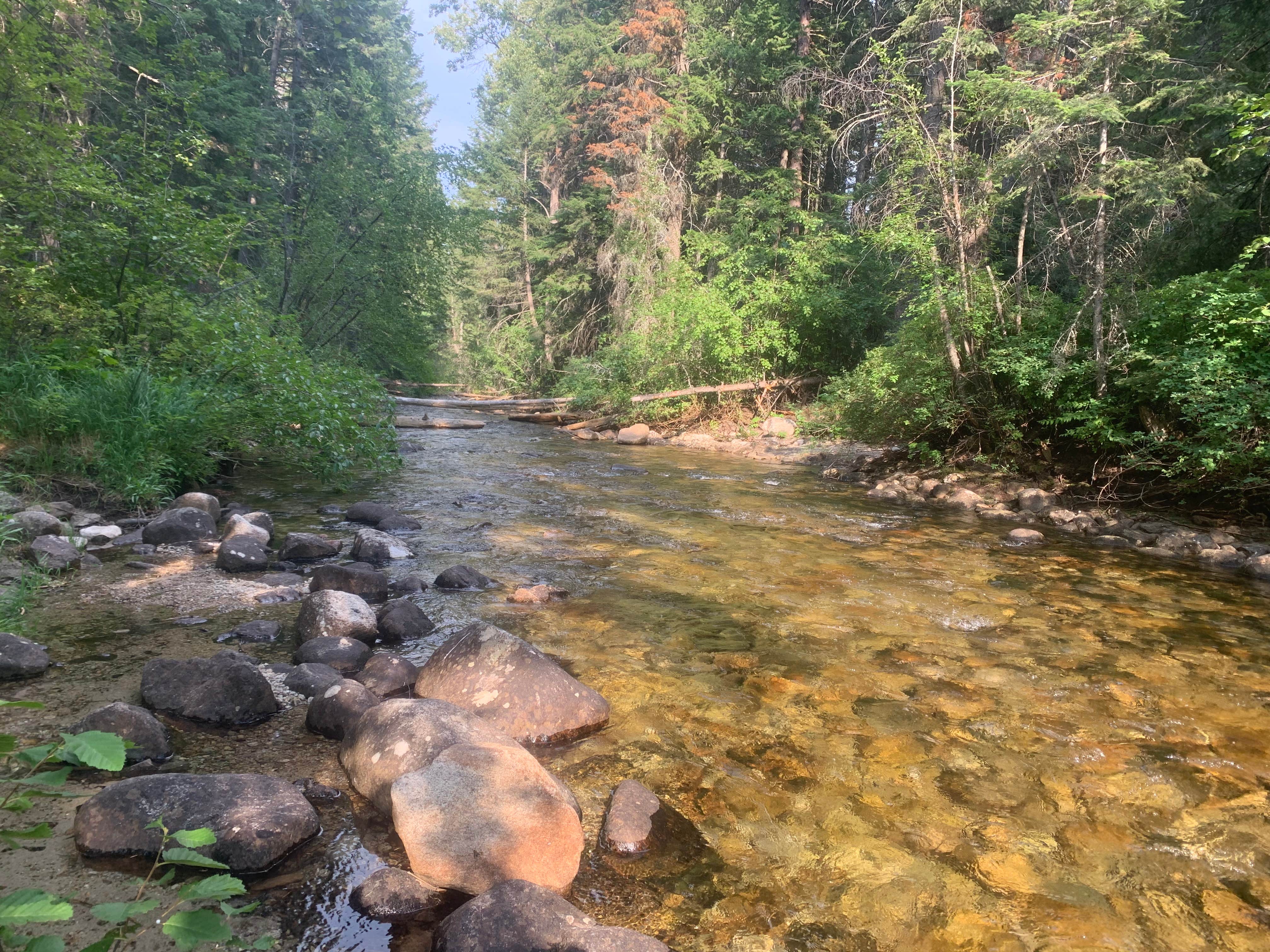 Camper submitted image from Blodgett Campground - 4