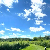 Review photo of New Glarus State Park Campground by Steph , August 2, 2022