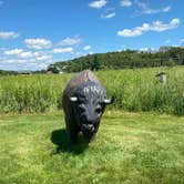 Review photo of New Glarus State Park Campground by Steph , August 2, 2022