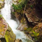 Review photo of Hoh Campground — Olympic National Park by Carla S., July 27, 2016