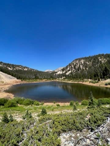 Camper-submitted photo at Mill Creek Trailhead & Campground near Mackay, ID