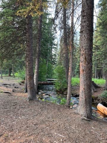Camper submitted image from Timber Creek - 3