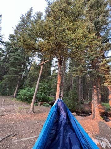 Camping near Leadore City Park: Timber Creek, Leadore, Idaho
