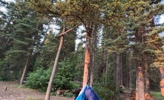 Tate W.'s photo of tent camping at Timber Creek near Mackay, ID