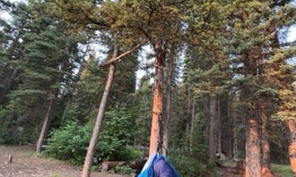 Camping near Summit Creek: Timber Creek, Leadore, Idaho