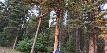 Camper submitted image from Timber Creek