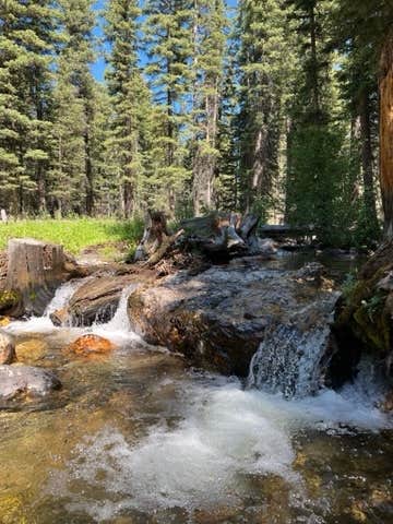 Camper-submitted photo at Timber Creek near Leadore, ID