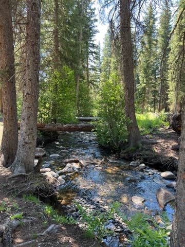 Camper-submitted photo at Timber Creek near Leadore, ID