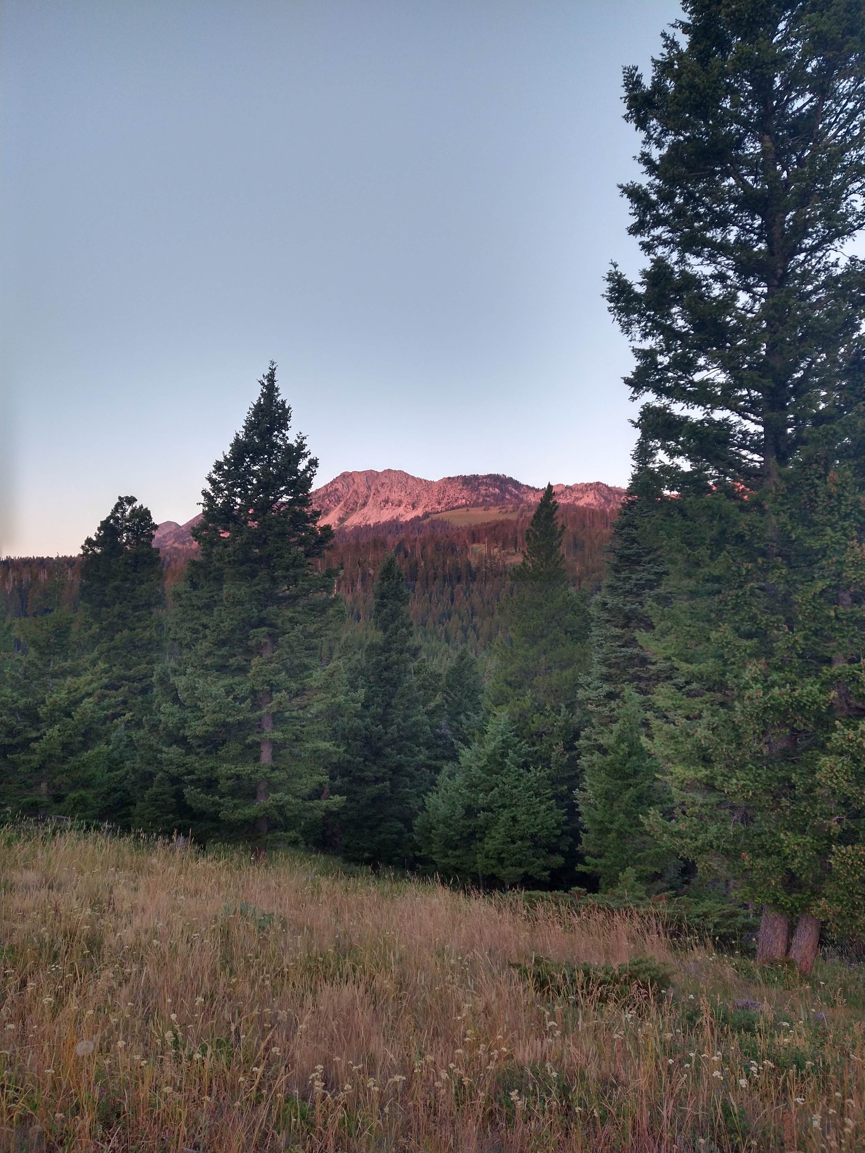 South Fork Brackett Creek Dispersed Site