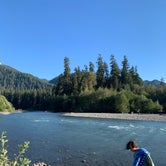 Review photo of Hoh Campground — Olympic National Park by Alyson M., August 2, 2022
