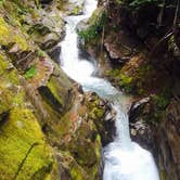 Review photo of Hoh Campground — Olympic National Park by Carla S., July 27, 2016
