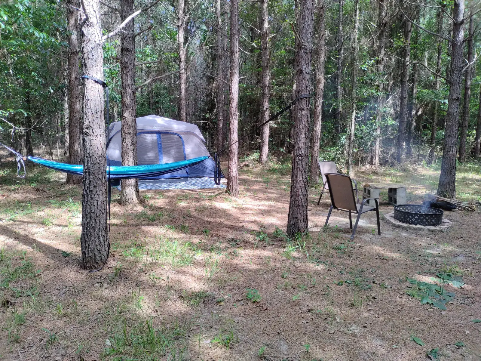 Camper-submitted photo at Donna's Hammock Hideaway near White Hall, AR