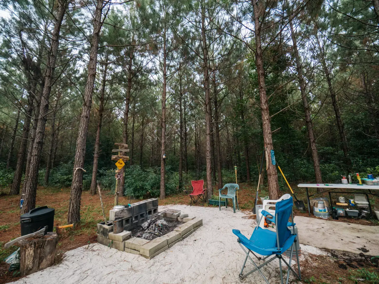 Camper-submitted photo at Donna's Hammock Hideaway near White Hall, AR