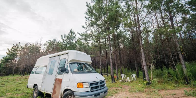 Camper submitted image from Donna's Hammock Hideaway