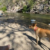 Review photo of Tongue River Campground by Halie N., August 2, 2022