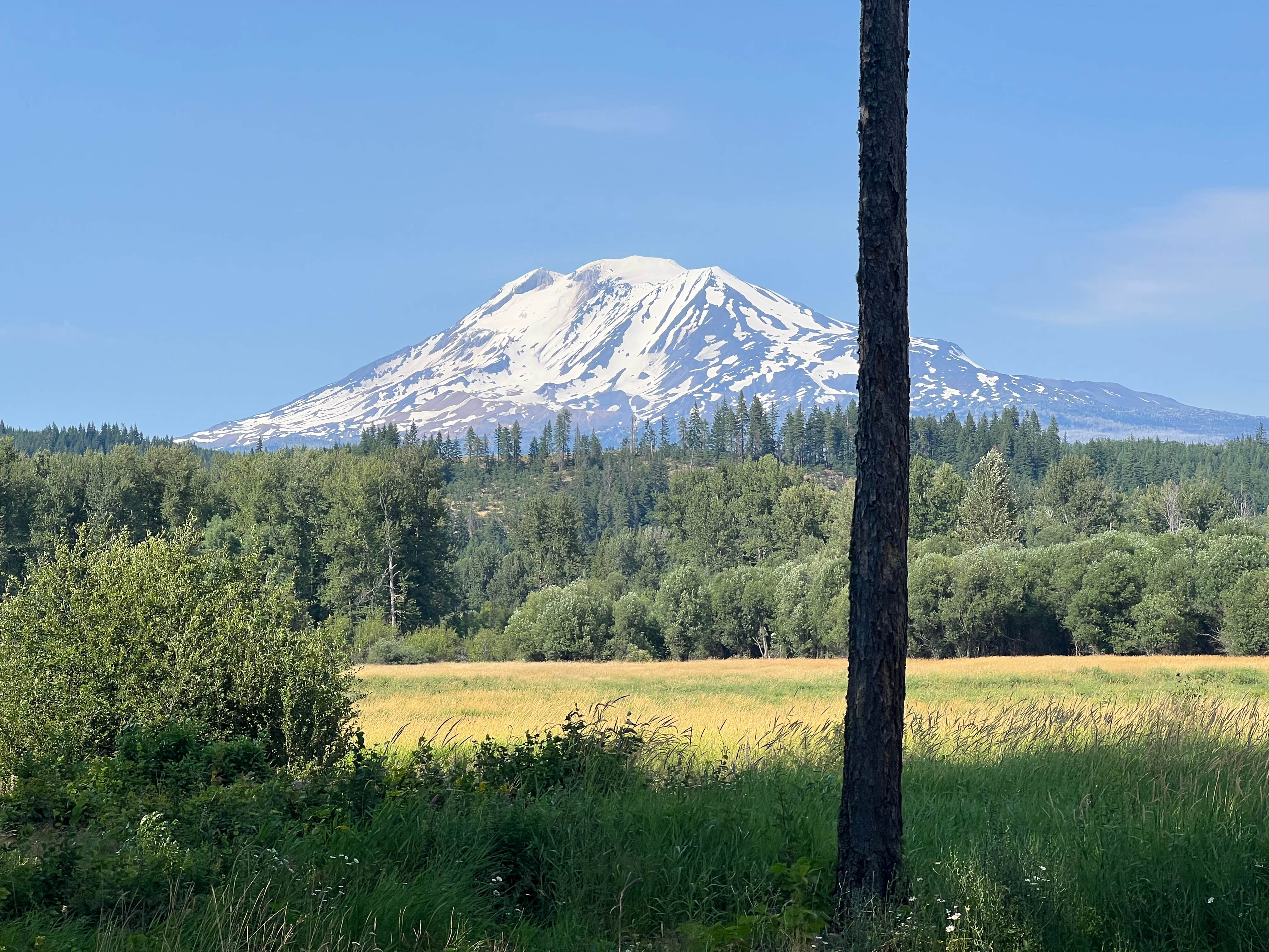 Camper-submitted photo at Elk Meadows RV Park near Wishram, WA
